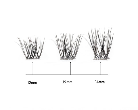Natural Lash Segments size chart