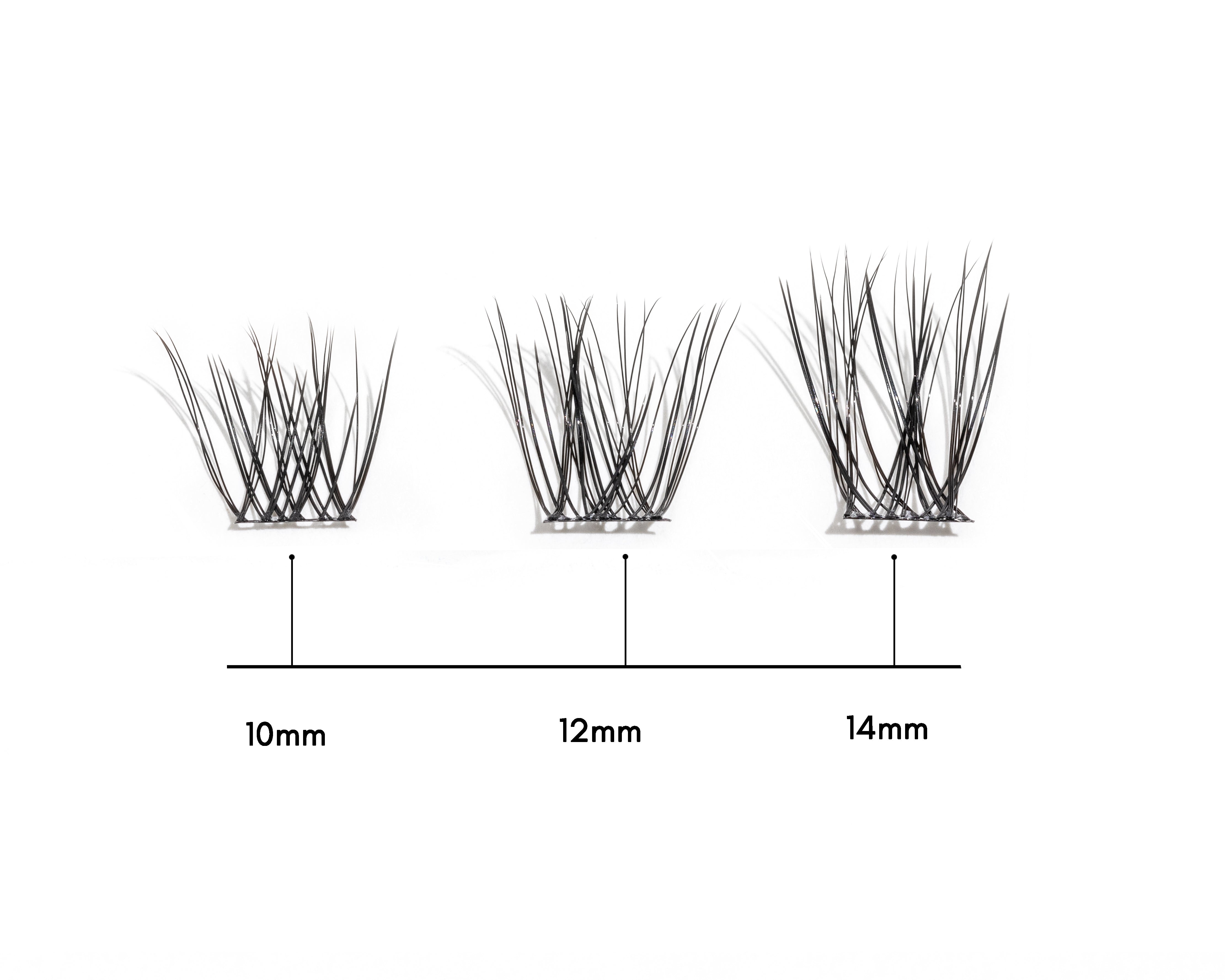 Hybrid Lash Segments– Lash Theory
