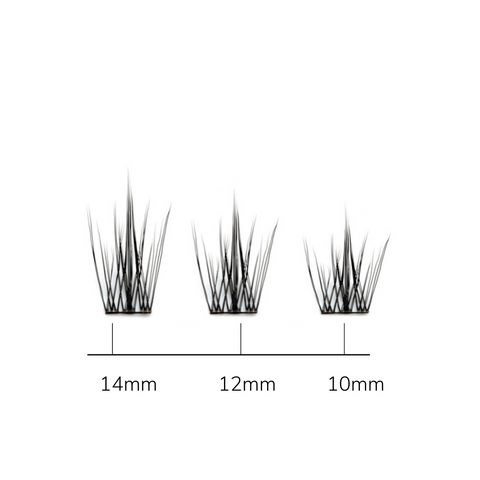 Wispy Lash Segments size chart